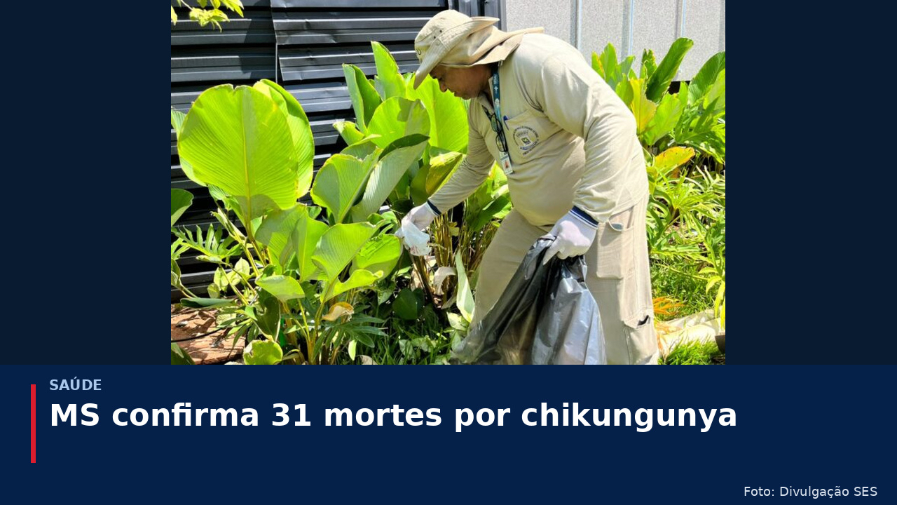 MS confirma 31 mortes por chikungunya; novo boletim aponta mais de 10 mil casos