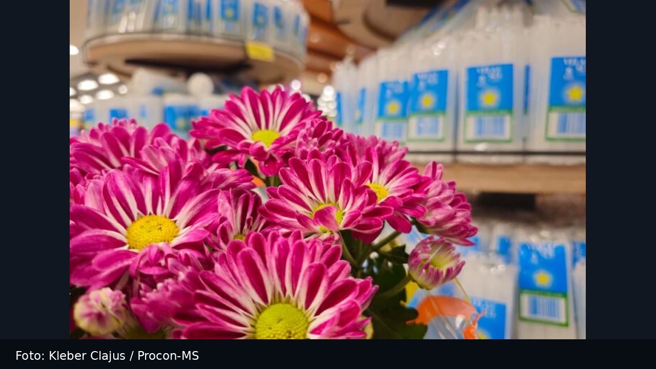 Flores para Finados apresentam diferença de preços superior a 200% na Capital