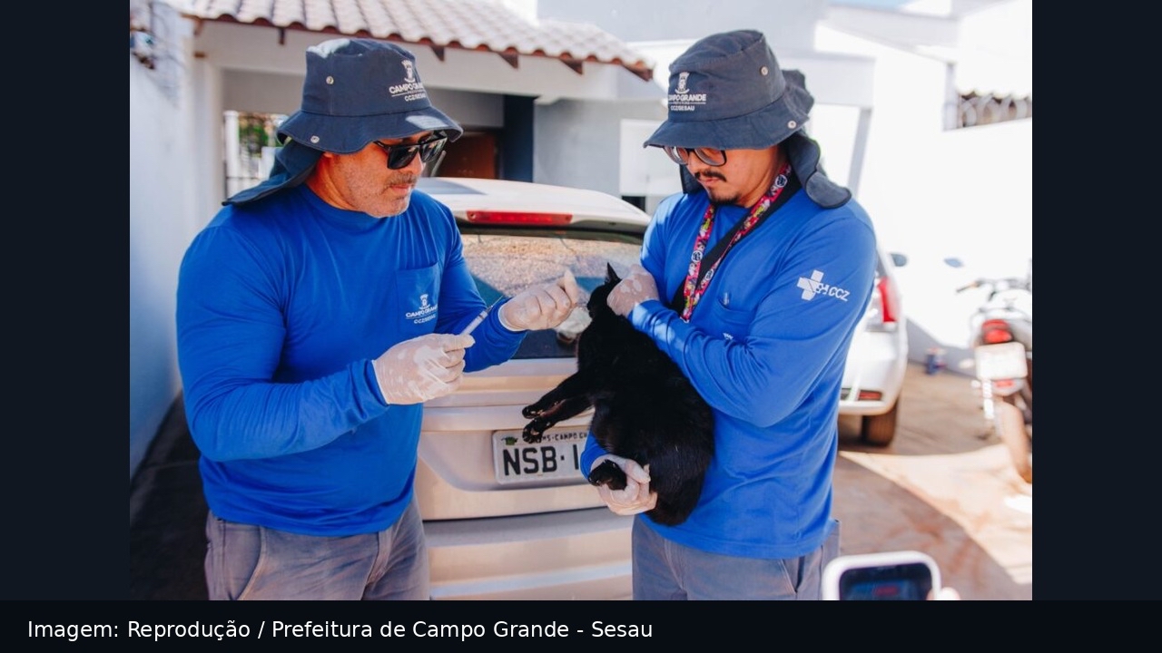 Coophavila II e Tarumã receberão vacinação antirrábica de cães e gatos nas residências