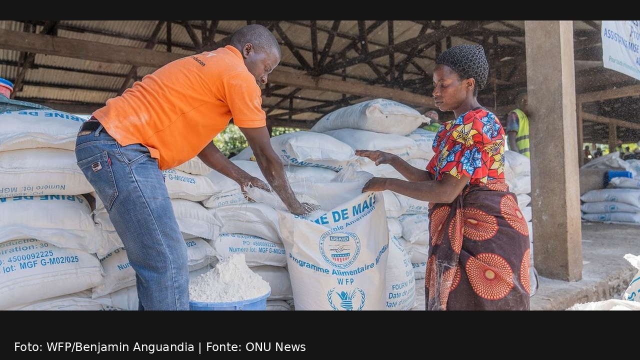 Mais de 28 milhões enfrentam insegurança alimentar aguda na República Democrática do Congo