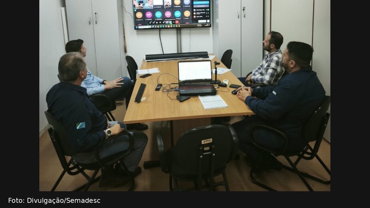 MS prepara cadastro de lavouras para prevenir vassoura-de-bruxa da mandioca